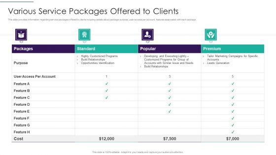 Sales Techniques Playbook Various Service Packages Offered To Clients Microsoft PDF