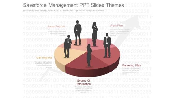 Salesforce Management Ppt Slides Themes