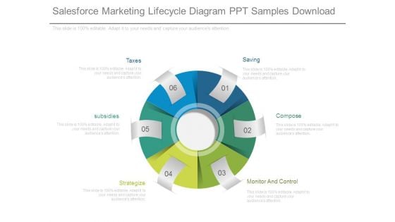 Salesforce Marketing Lifecycle Diagram Ppt Samples Download