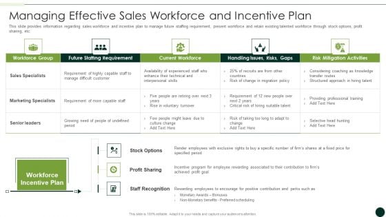 Salesman Principles Playbook Managing Effective Sales Workforce And Incentive Plan Sample PDF