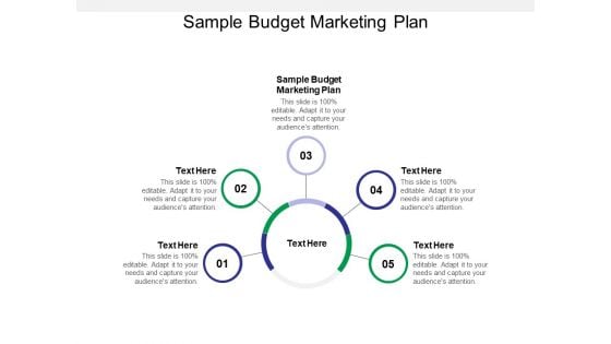 Sample Budget Marketing Plan Ppt PowerPoint Presentation Pictures Layout Ideas Cpb