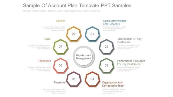 Sample Of Account Plan Template Ppt Samples Sample Of Account Plan Template Ppt Samples