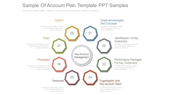 Sample Of Account Plan Template Ppt Samples