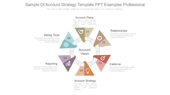 Sample Of Account Strategy Template Ppt Examples Professional Sample Of Account Strategy Template Ppt Examples Professional