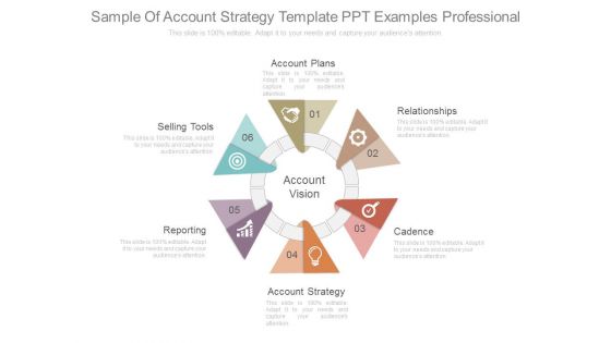 Sample Of Account Strategy Template Ppt Examples Professional