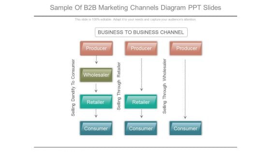 Sample Of B2b Marketing Channels Diagram Ppt Slides Sample Of B2b Marketing Channels Diagram Ppt Slides
