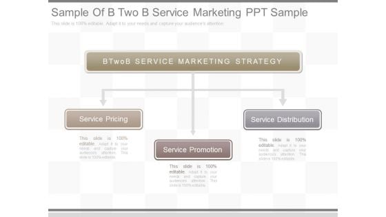 Sample Of B Two B Service Marketing Ppt Sample