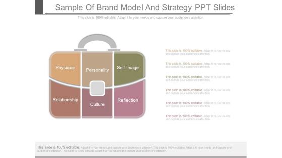 Sample Of Brand Model And Strategy Ppt Slides