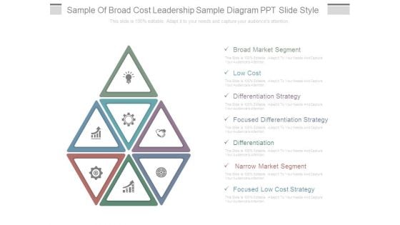 Sample Of Broad Cost Leadership Sample Diagram Ppt Slide Style