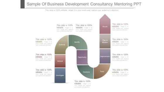 Sample Of Business Development Consultancy Mentoring Ppt