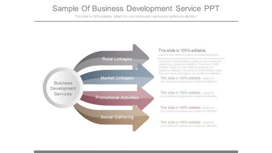 Sample Of Business Development Service Ppt