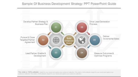 Sample Of Business Development Strategy Ppt Powerpoint Guide