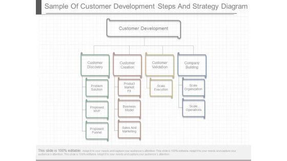 Sample Of Customer Development Steps And Strategy Diagram