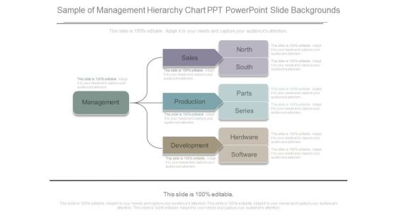 Sample Of Management Hierarchy Chart Ppt Powerpoint Slide Backgrounds Sample Of Management Hierarchy Chart Ppt Powerpoint Slide Backgrounds