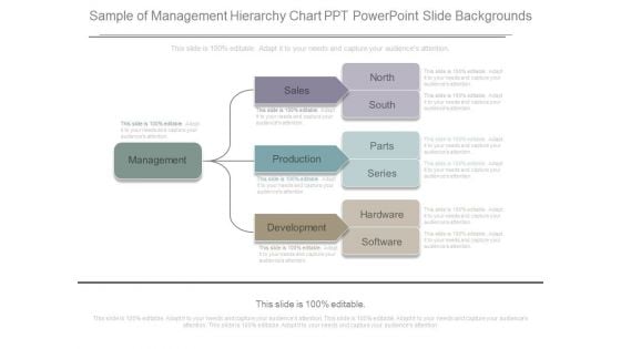 Sample Of Management Hierarchy Chart Ppt Powerpoint Slide Backgrounds