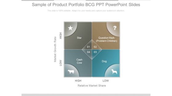 Sample Of Product Portfolio Bag Ppt Powerpoint Slides