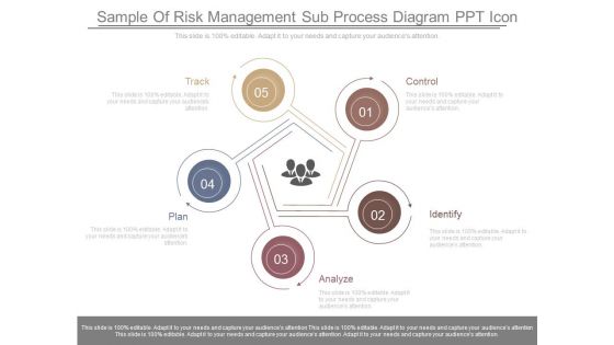 Sample Of Risk Management Sub Process Diagram Ppt Icon