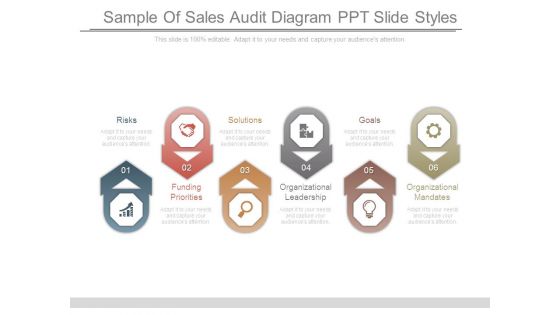 Sample Of Sales Audit Diagram Ppt Slide Styles Sample Of Sales Audit Diagram Ppt Slide Styles