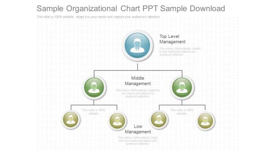 Sample Organizational Chart Ppt Sample Download