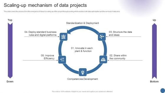 Scaling Up Mechanism Of Data Projects Managing Organizational Transformation Rules PDF