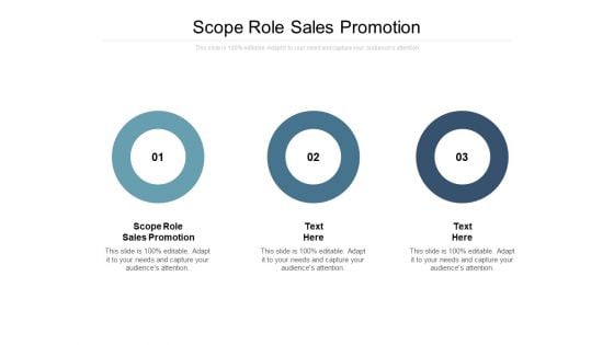 Scope Role Sales Promotion Ppt PowerPoint Presentation Model Show