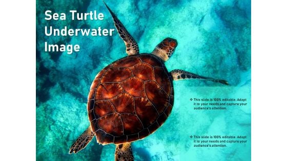 Sea Turtle Underwater Image Ppt PowerPoint Presentation Outline Picture PDF