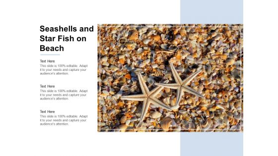 Seashells And Star Fish On Beach Ppt Powerpoint Presentation Outline Grid