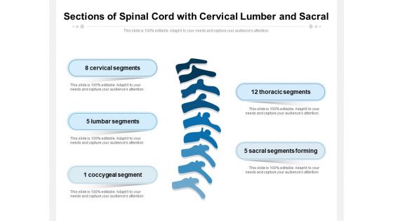 Sections Of Spinal Cord With Cervical Lumber And Sacral Ppt PowerPoint Presentation Icon Diagrams PDF