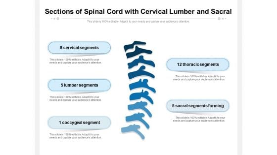 Sections Of Spinal Cord With Cervical Lumber And Sacral Ppt PowerPoint Presentation Icon Diagrams PDF Sections Of Spinal Cord With Cervical Lumber And Sacral Ppt PowerPoint Presentation Icon Diagrams PDF