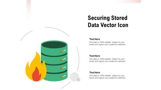 Securing Stored Data Vector Icon Ppt PowerPoint Presentation File Outline PDF