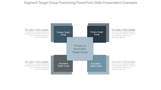 Segment Target Group Positioning Powerpoint Slide Presentation Examples