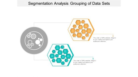 Segmentation Analysis Grouping Of Data Sets Ppt PowerPoint Presentation Ideas Backgrounds