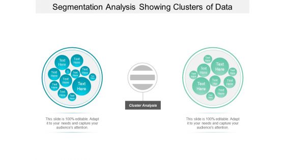 Segmentation Analysis Showing Clusters Of Data Ppt PowerPoint Presentation Ideas Designs Download