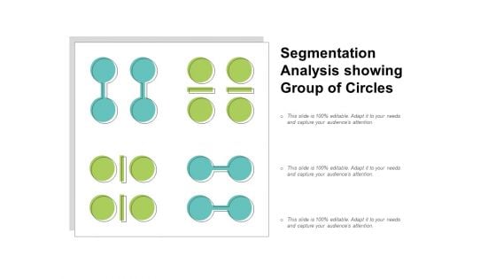 Segmentation Analysis Showing Group Of Circles Ppt PowerPoint Presentation Portfolio Mockup