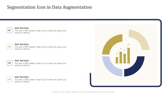 Segmentation Icon In Data Augmentation Ppt Professional Deck PDF