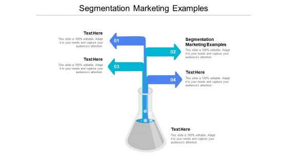 Segmentation Marketing Examples Ppt PowerPoint Presentation Professional Example Cpb