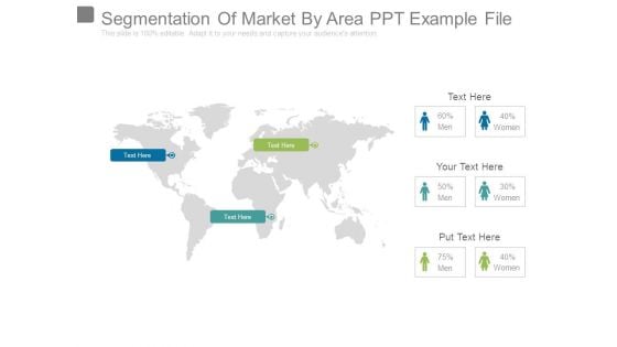 Segmentation Of Market By Area Ppt Example File