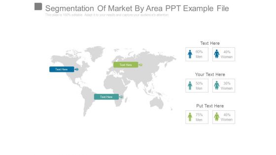 Segmentation Of Market By Area Ppt Example File