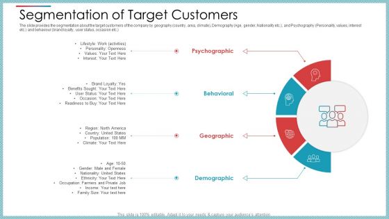 Segmentation Of Target Customers Ppt Gallery Sample PDF