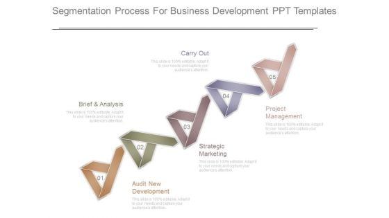 Segmentation Process For Business Development Ppt Templates