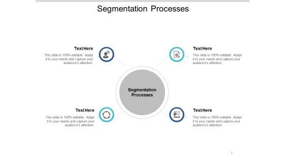 Segmentation Processes Ppt PowerPoint Presentation Professional Example File Cpb