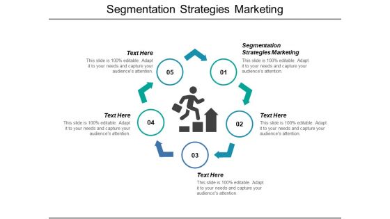 Segmentation Strategies Marketing Ppt PowerPoint Presentation Professional Template Cpb