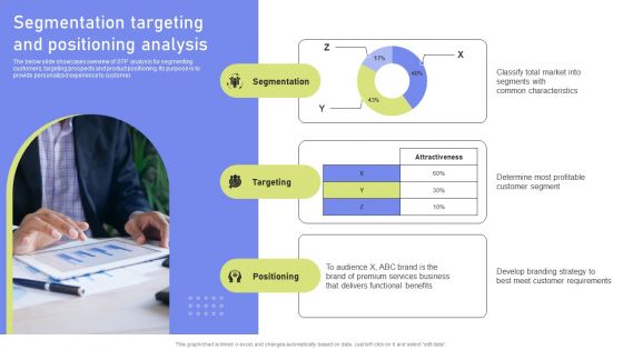 Segmentation Targeting And Positioning Analysis Elements PDF