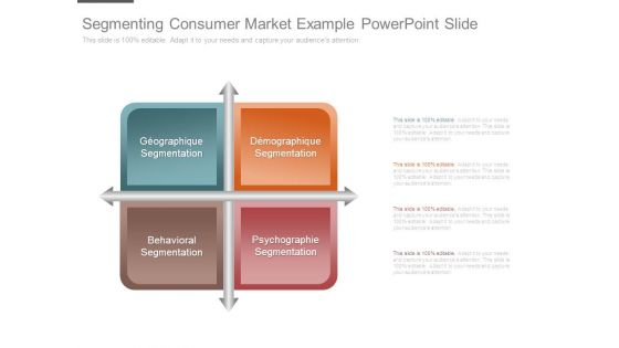 Segmenting Consumer Market Example Powerpoint Slide