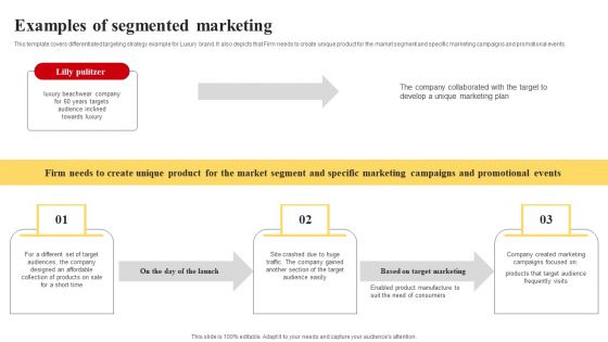 Selecting And Developing An Effective Target Market Strategy Examples Of Segmented Marketing Icons PDF