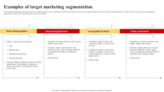Selecting And Developing An Effective Target Market Strategy Examples Of Target Marketing Segmentation Portrait PDF