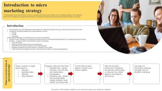 Selecting And Developing An Effective Target Market Strategy Introduction To Micro Marketing Strategy Topics PDF