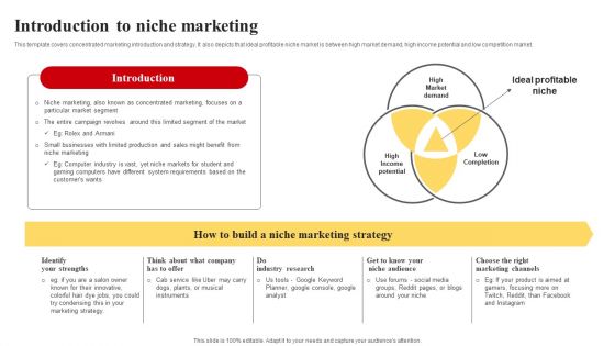 Selecting And Developing An Effective Target Market Strategy Introduction To Niche Marketing Designs PDF