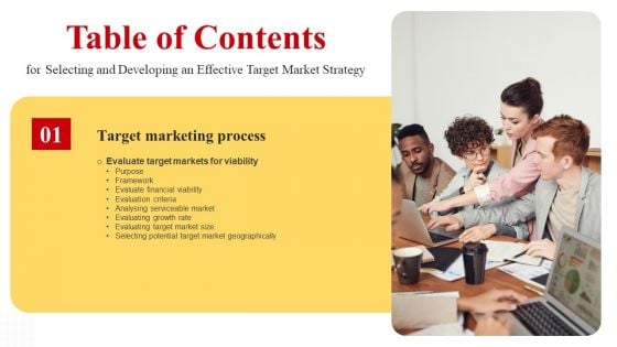 Selecting And Developing An Effective Target Market Strategy Table Of Contents Inspiration PDF