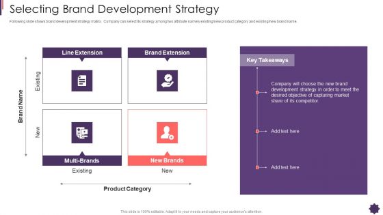 Selecting Brand Development Strategy Brand Techniques Structure Elements PDF